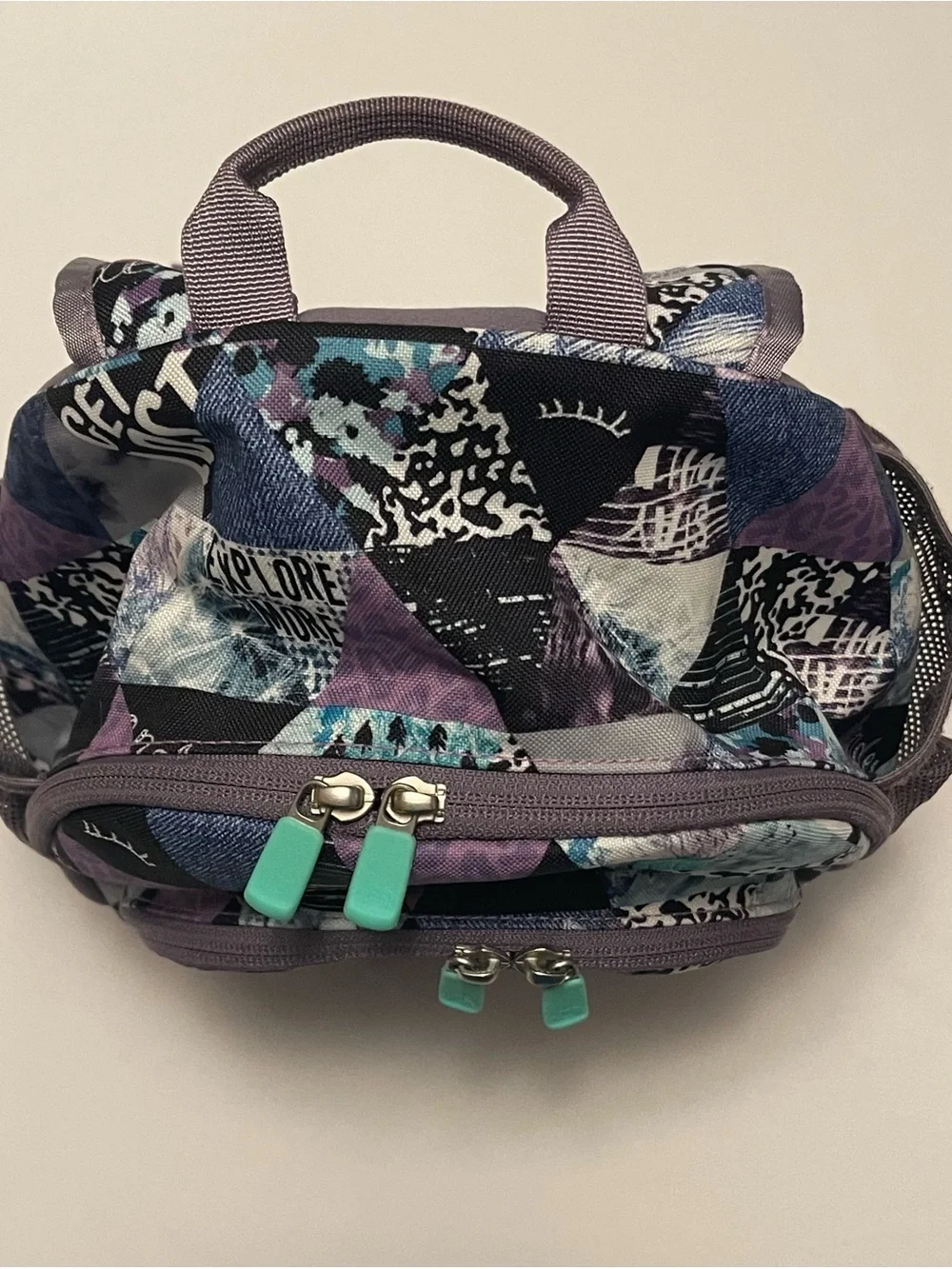 North Face Purple Sprout backpack